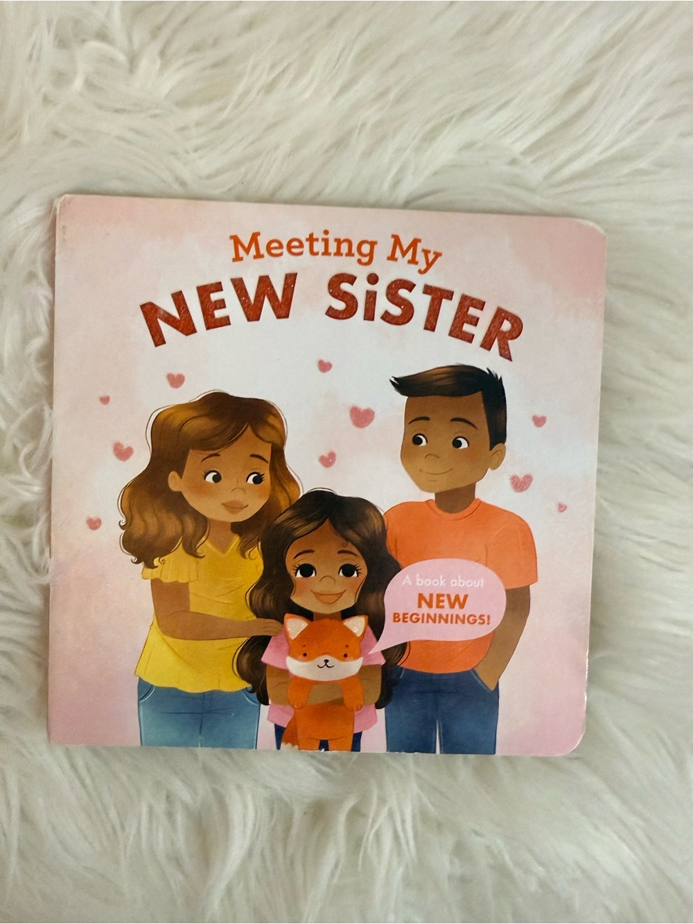 💫10/$25 • Meeting My New Sister Boardbook